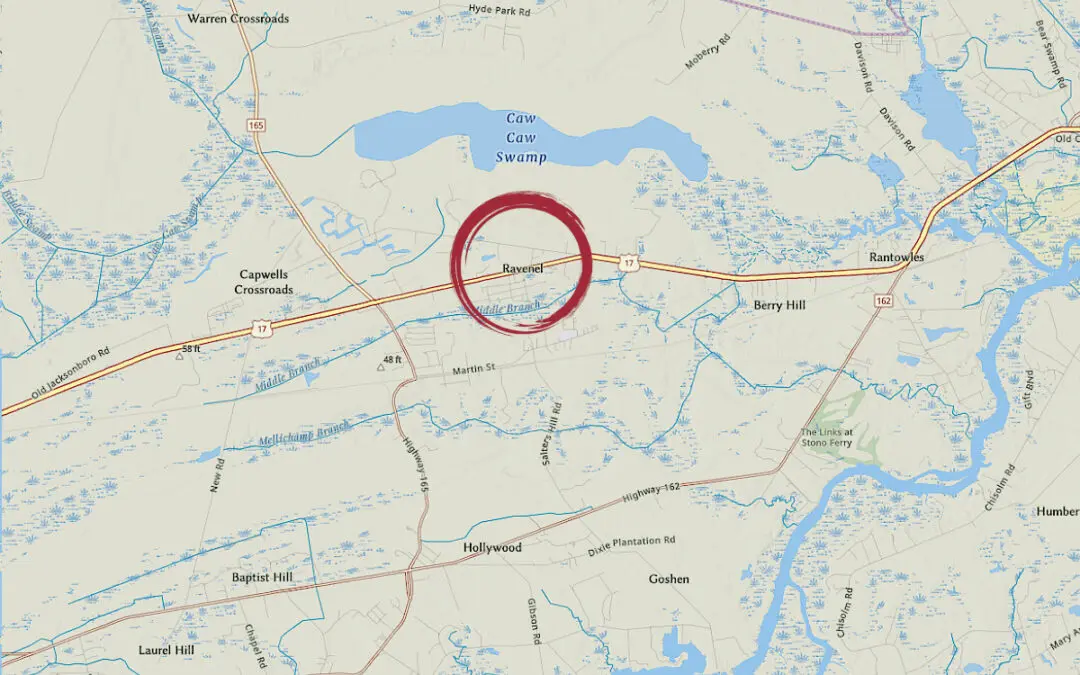 Moving to Ravenel, South Carolina: Helpful Local Resources for Lowcountry Homeowners