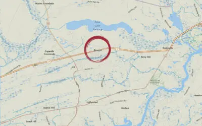 Moving to Ravenel, South Carolina: Helpful Local Resources for Lowcountry Homeowners