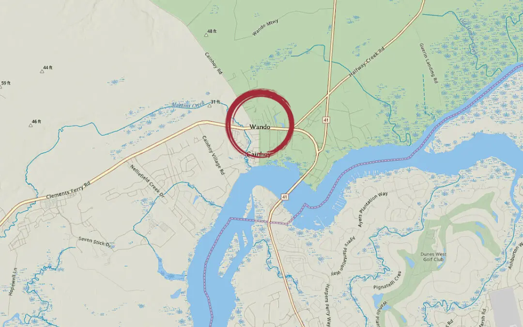 Moving to Wando, South Carolina: Helpful Local Resources for Lowcountry Homeowners